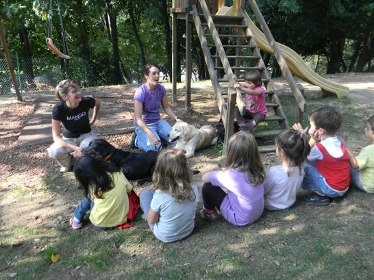 pet_therapy_3